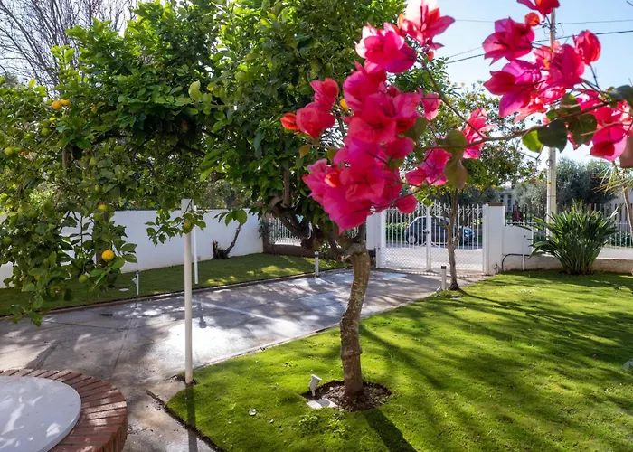 Nautika אלגהרו